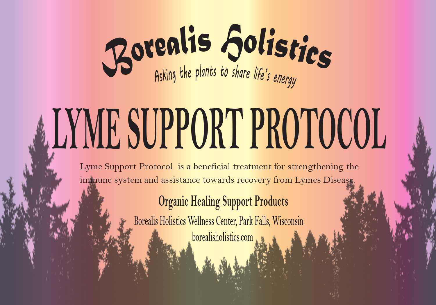 Lyme Support Protocol
